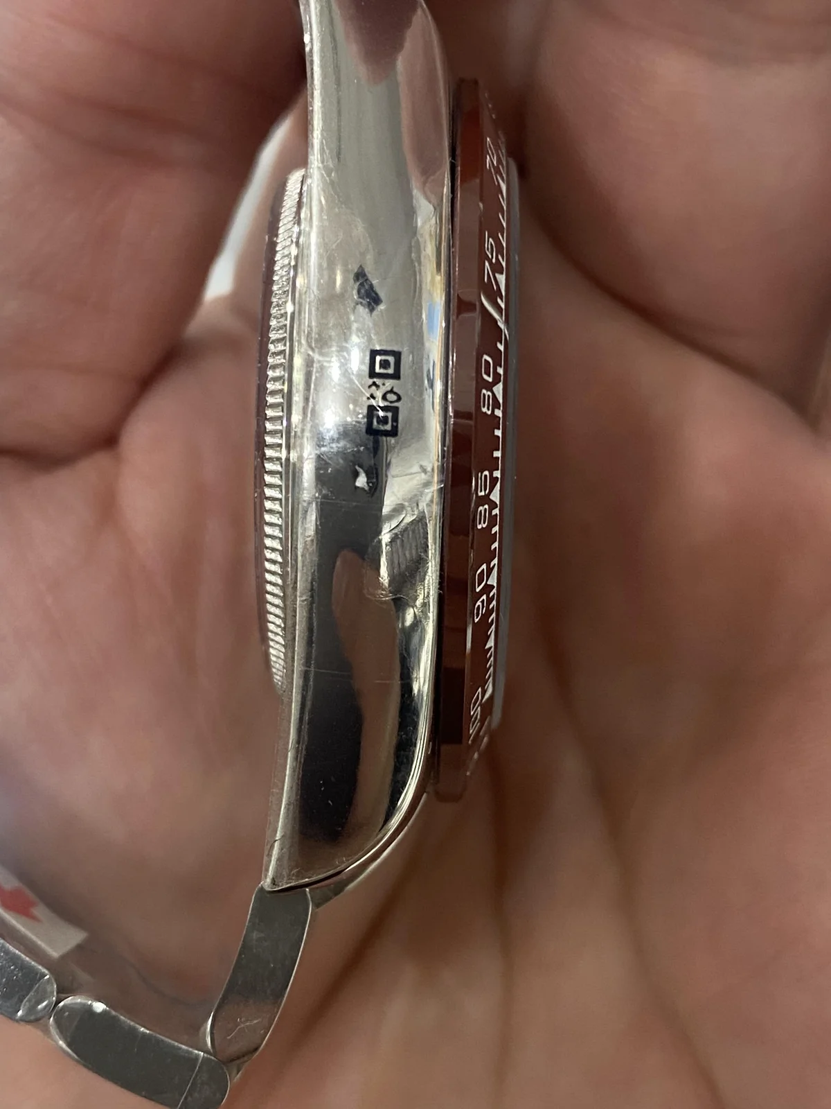 how to clean luxury watch 3 - luxury timepiece