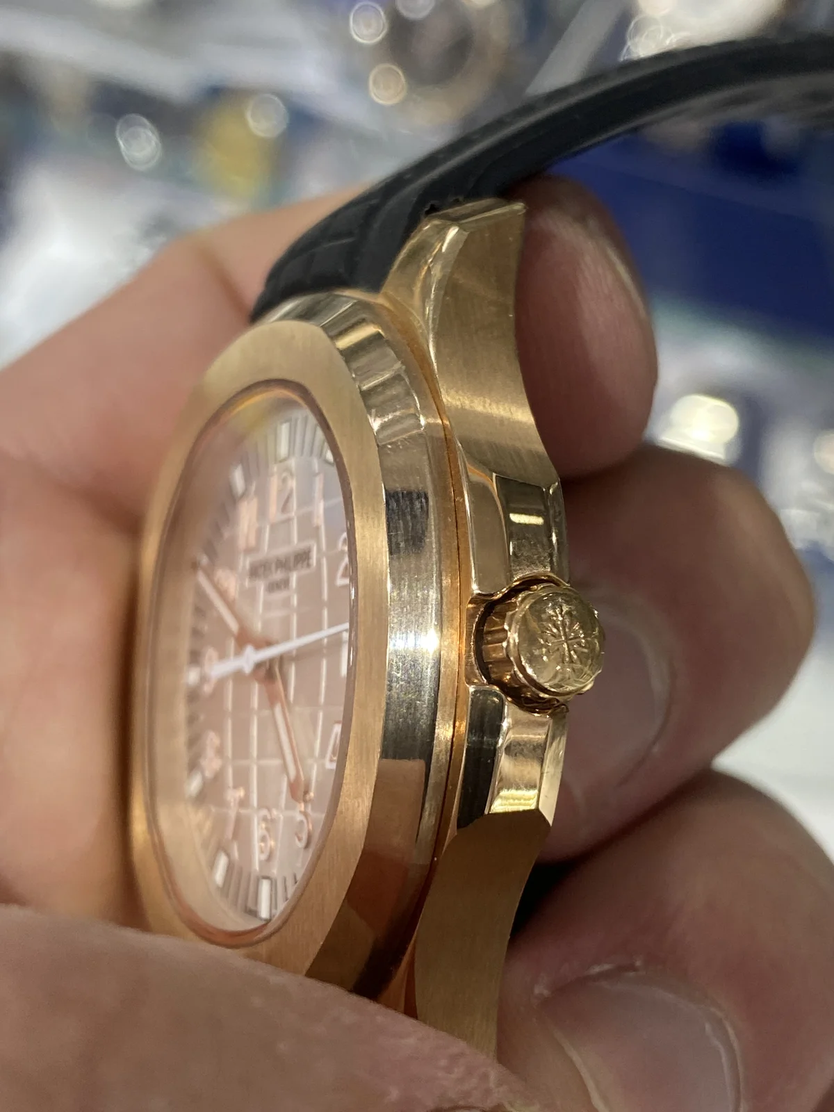 patek philippe calatrava buying complete guide 2