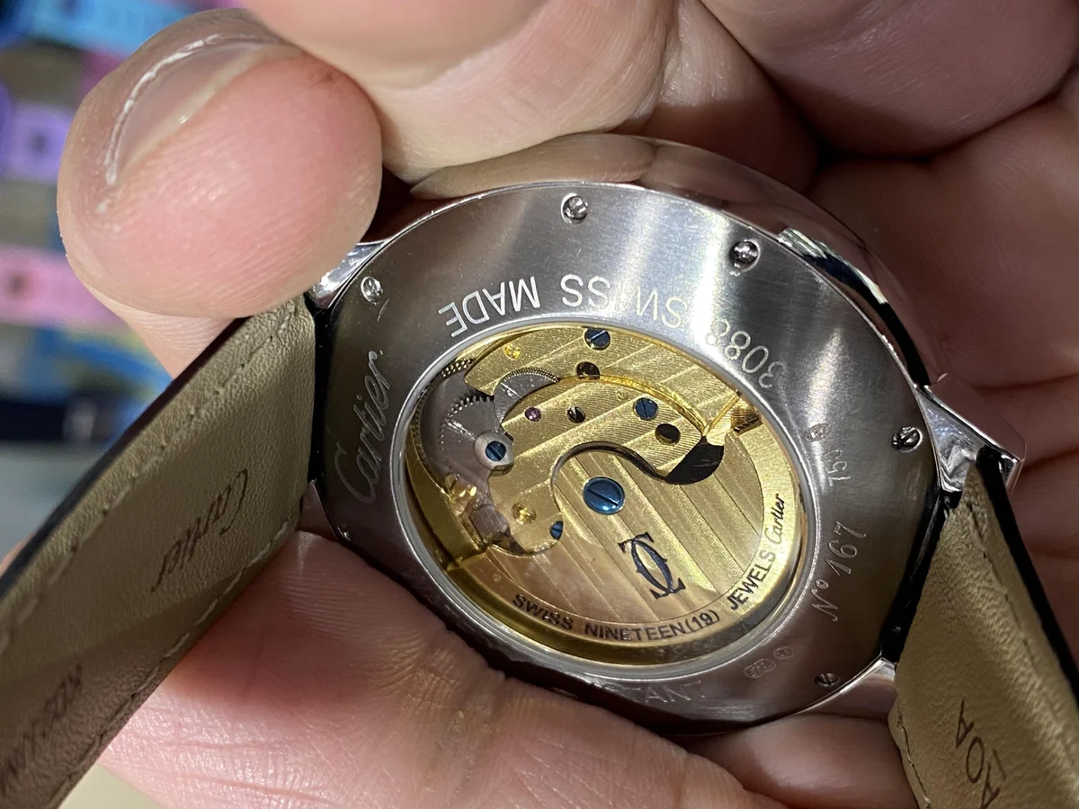 Cartier Révélation D'une Panthère - detail