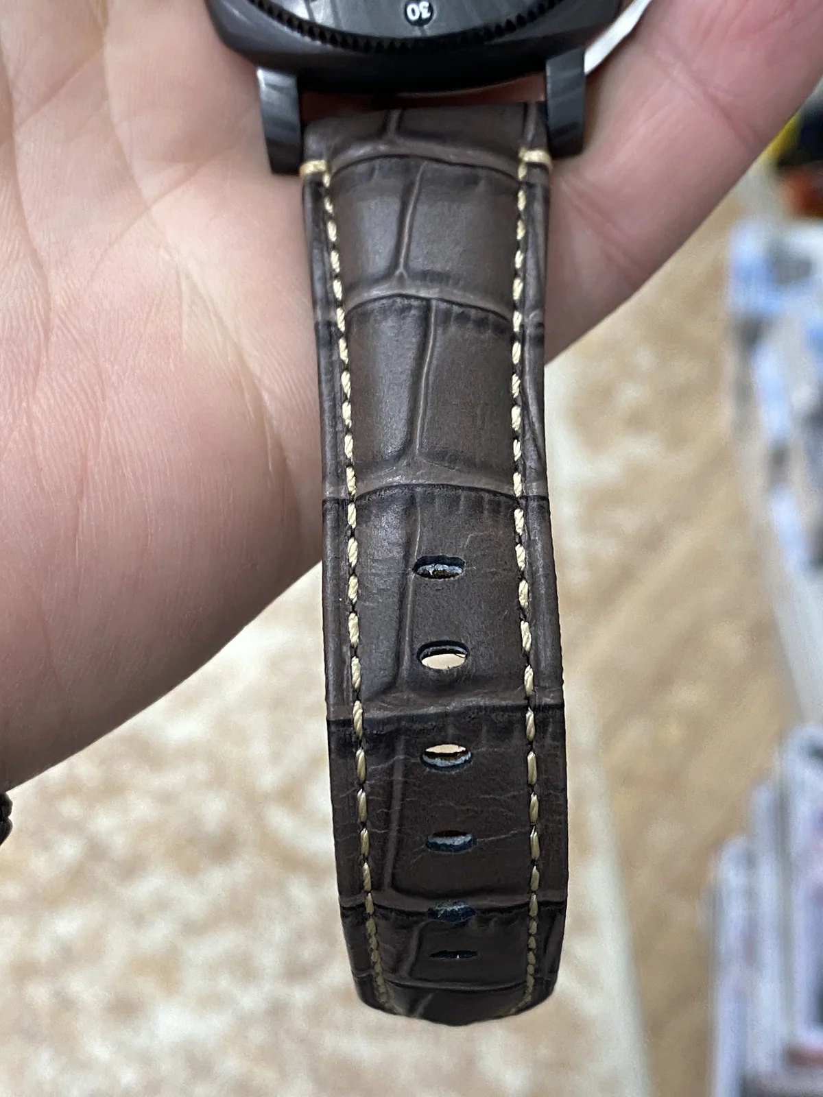 Panerai Radiomir Guide - detail